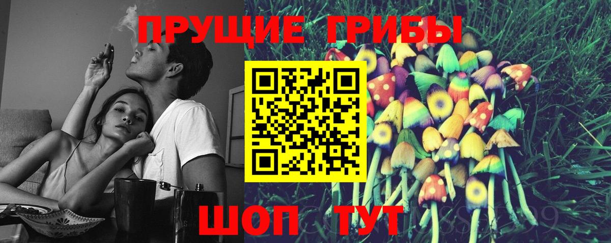 Галлюциногенные грибы прущие грибы Гусь-Хрустальный
